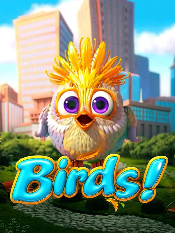 Birds!